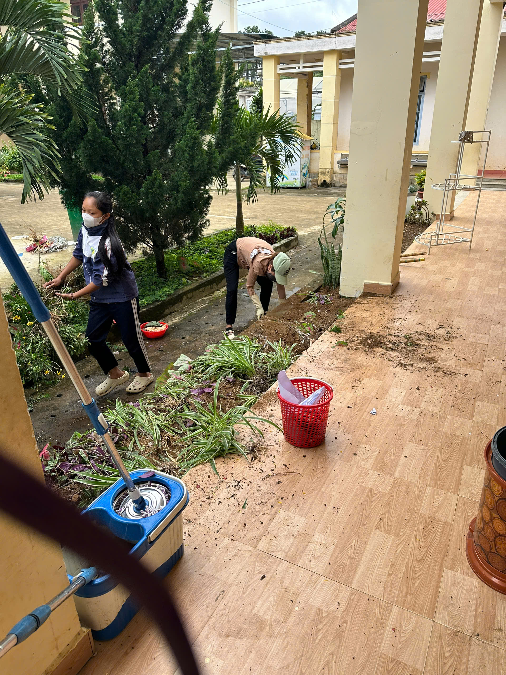 Trồng hoa khuôn viên trường