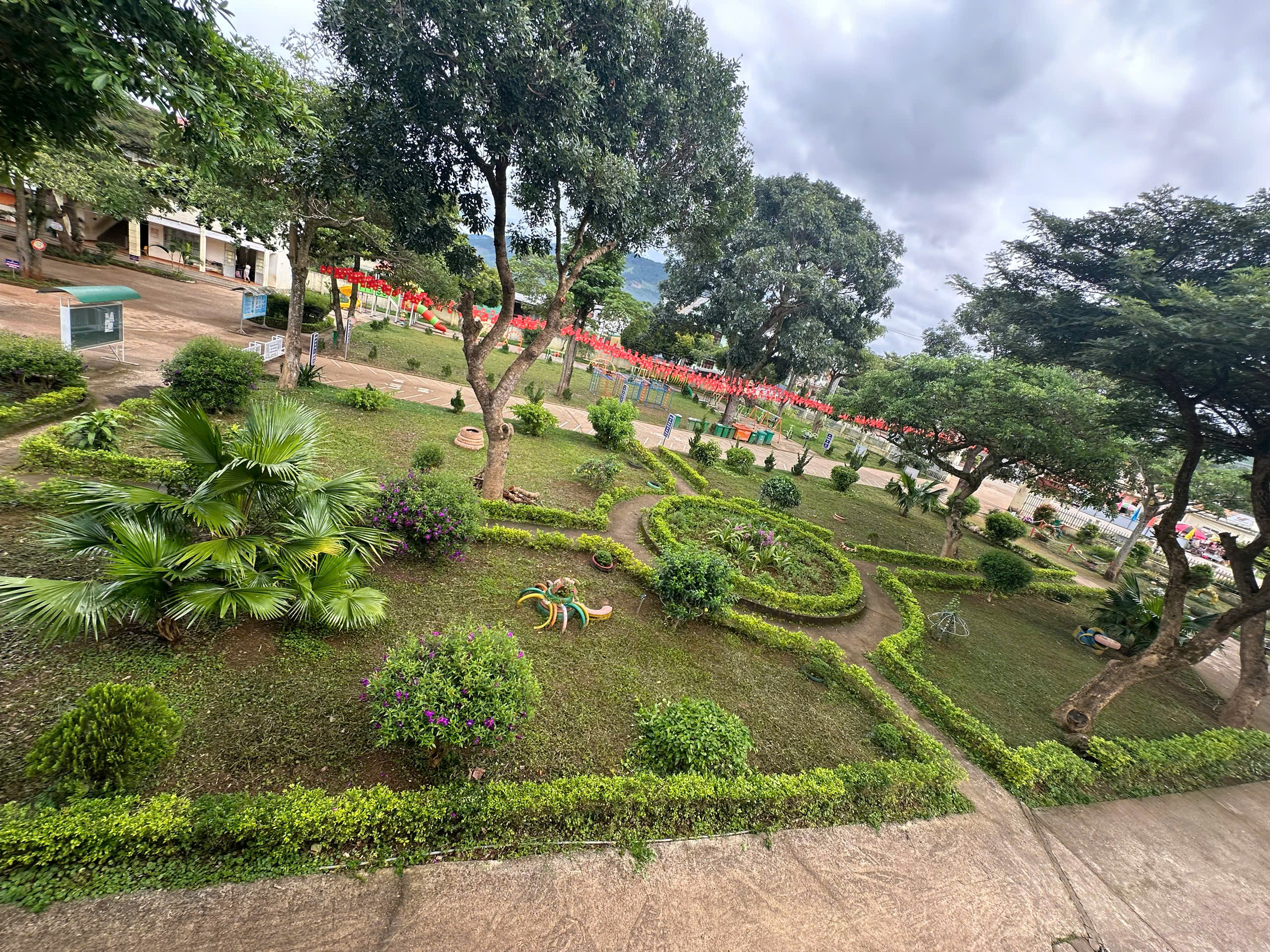 TRỒNG CÂY VÀ TRỒNG HOA TRONG KHUÔN VIÊN TRƯỜNG HỌC